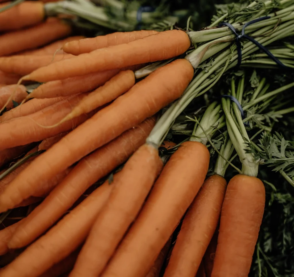 Les Paniers de Locmaria - Paniers de légumes Kervignac - Hennebont - Acheter des Carottes botte