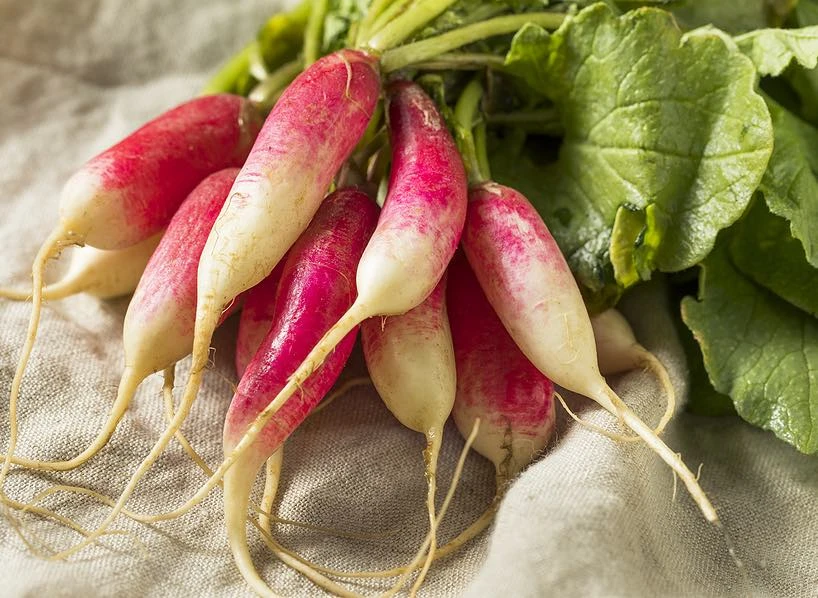 Les Paniers de Locmaria - Paniers de légumes Kervignac - Hennebont - Acheter des Radis longs blancs et rouges